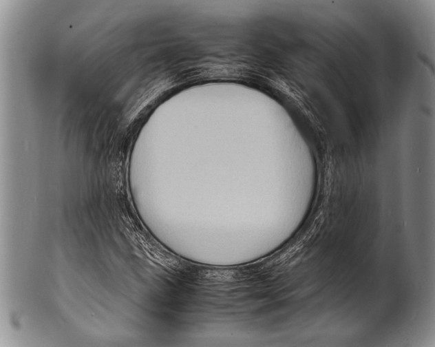 X0000100311211200806261154