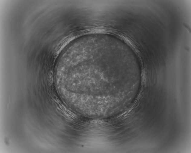 X0000100311212200806261154