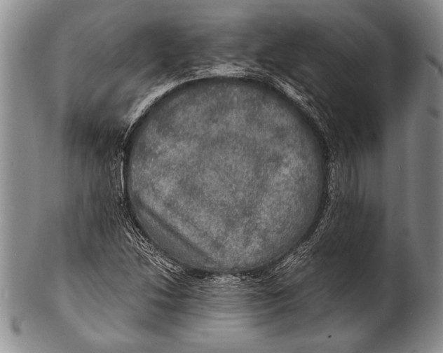 X0000100311214200806261154