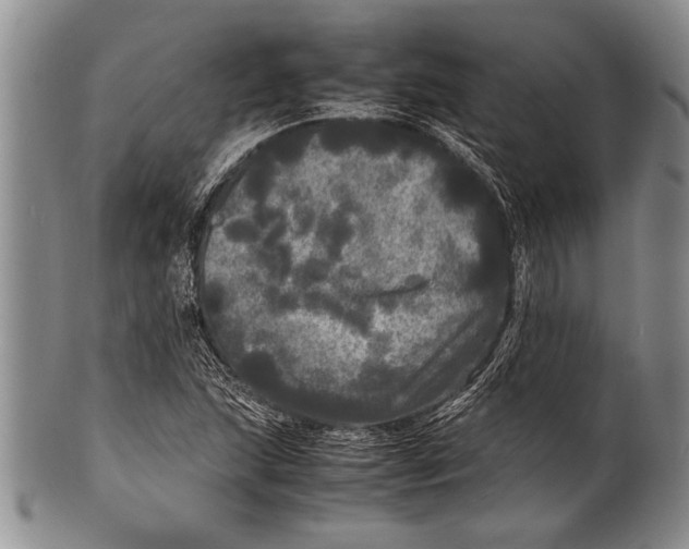 X0000100311215200806261154