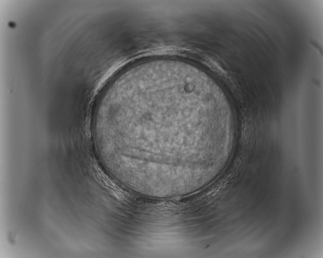 X0000100311216200806261154