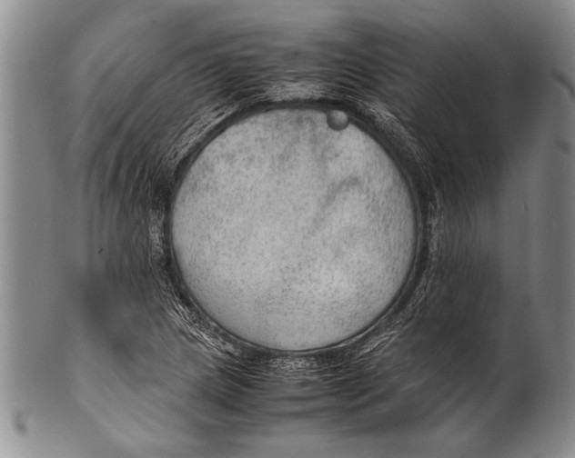 X0000100311217200806261154