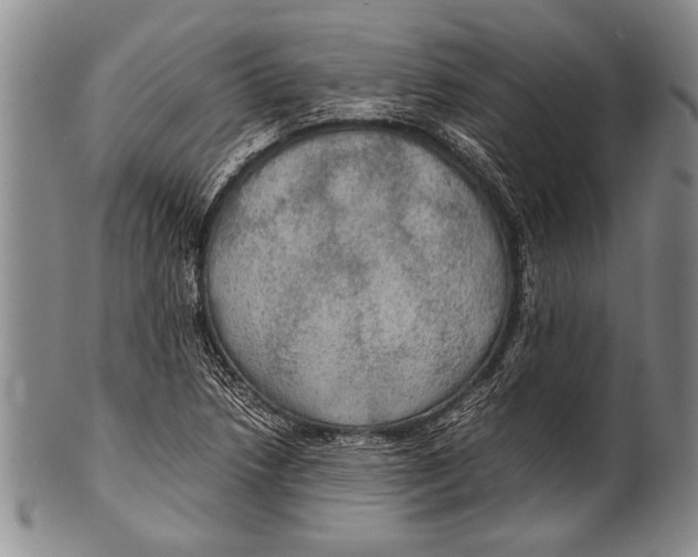 X0000100311218200806261154