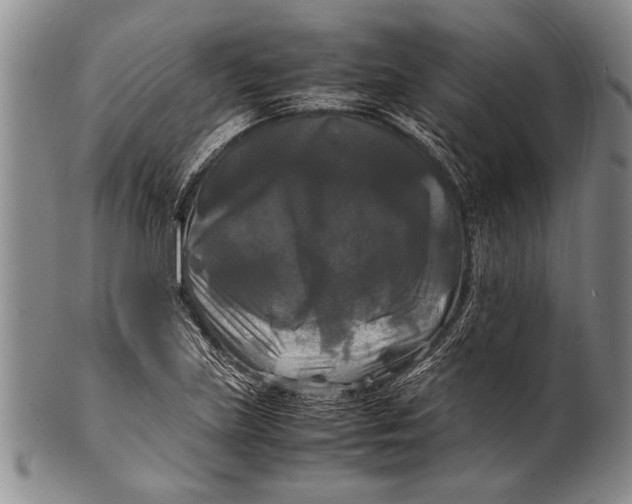 X0000100311219200806261154