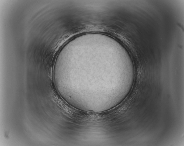 X0000100311220200806261154