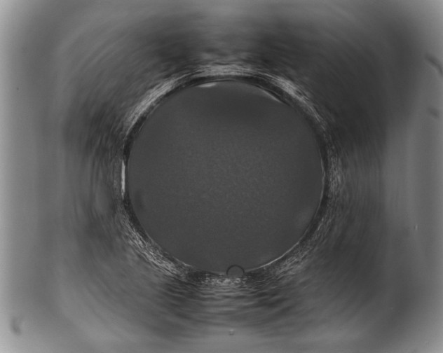 X0000100311221200806261154