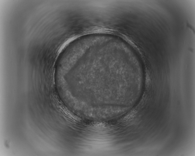 X0000100311222200806261154