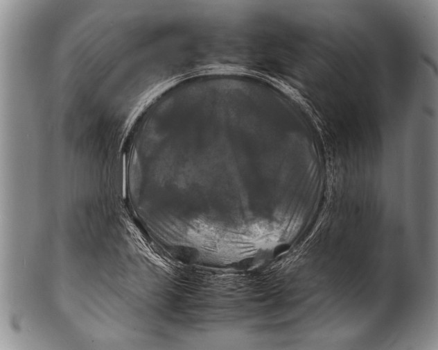 X0000100311223200806261154