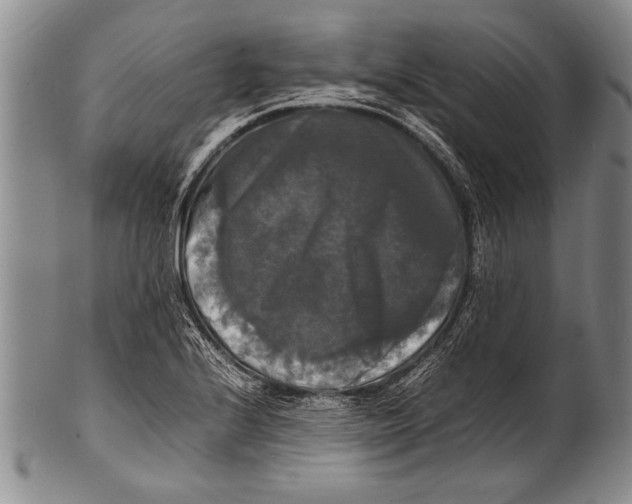 X0000100311224200806261155