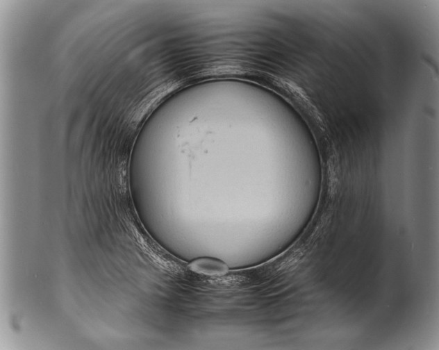 X0000100311225200806261155