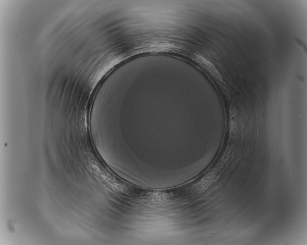 X0000100311226200806261155