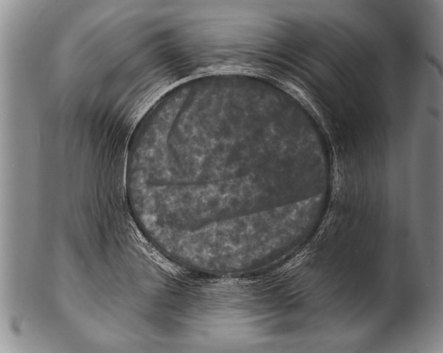 X0000100311228200806261155