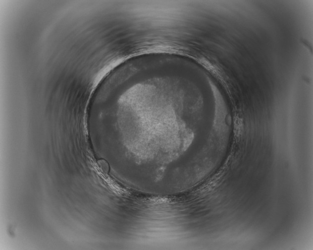 X0000100311230200806261155