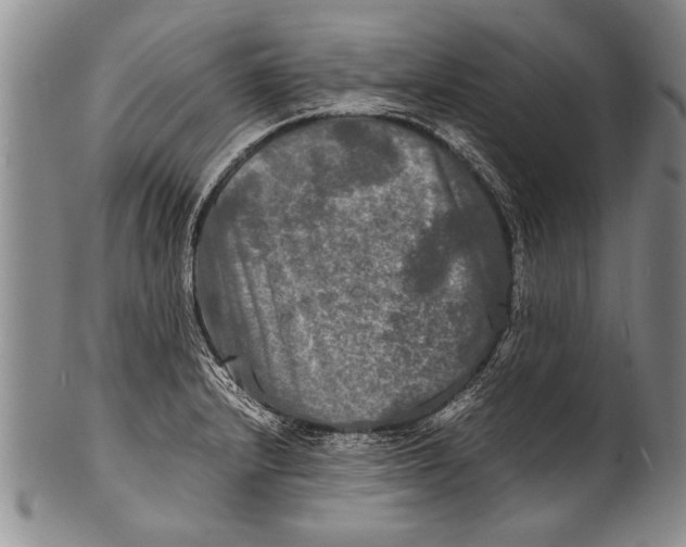 X0000100311232200806261155