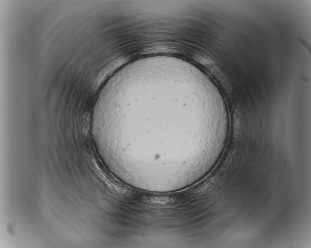 X0000100311233200806261155