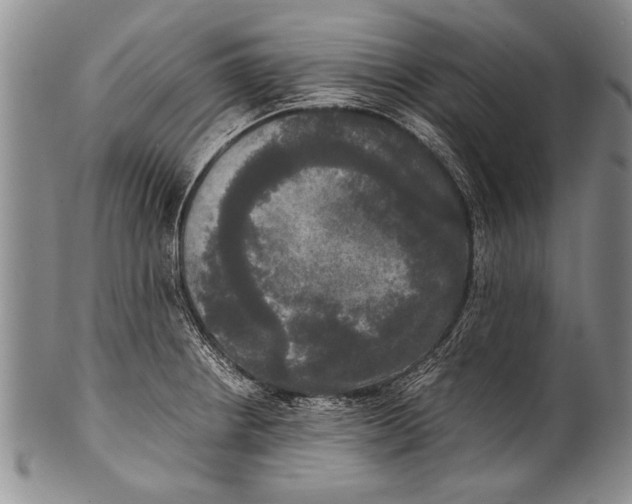 X0000100311234200806261155