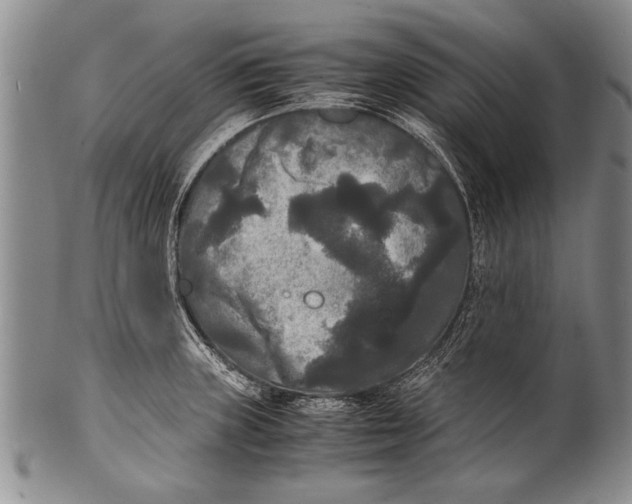 X0000100311235200806261155