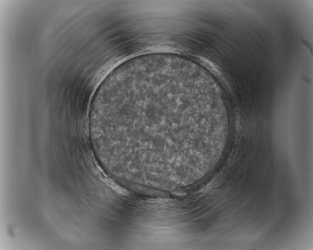 X0000100311236200806261155