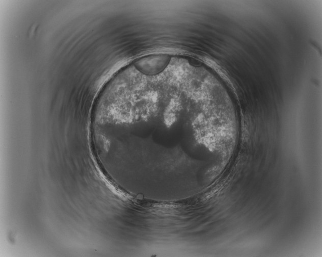 X0000100311237200806261155