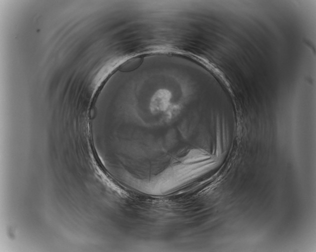 X0000100311239200806261155