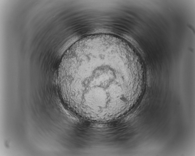 X0000100311241200806261155