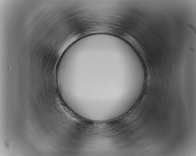 X0000100311242200806261155