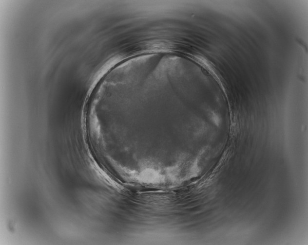 X0000100311243200806261155