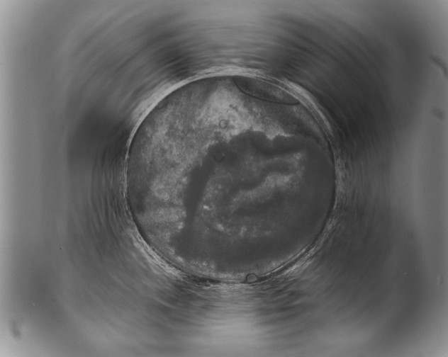 X0000100311244200806261155