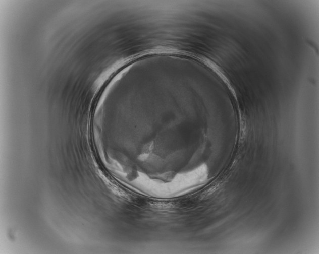 X0000100311245200806261155