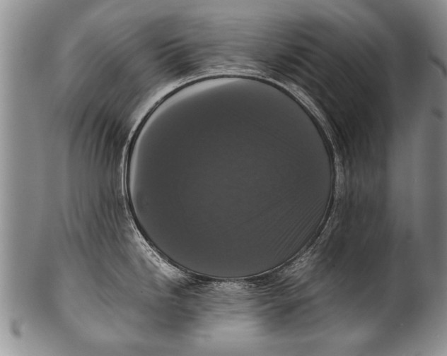 X0000100311246200806261155