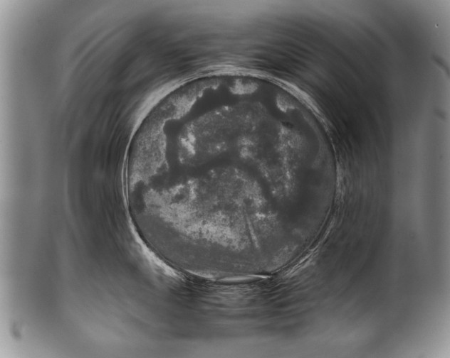 X0000100311247200806261155