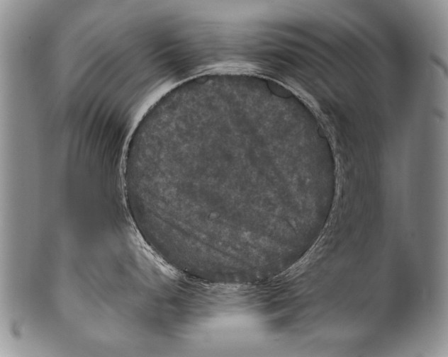 X0000100311248200806261155