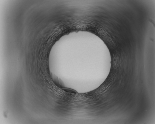 X0000100311249200806261154