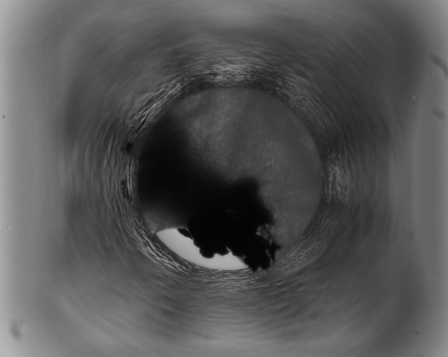 X0000100311250200806261154