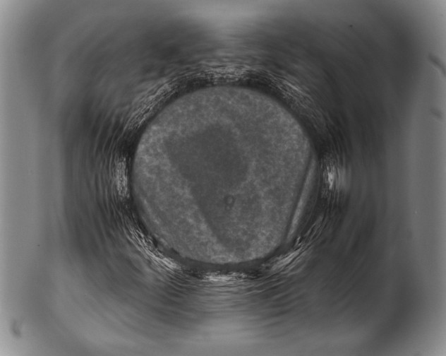 X0000100311252200806261154