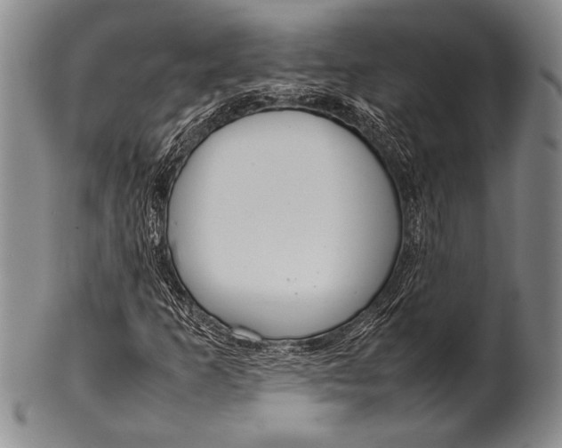 X0000100311253200806261154