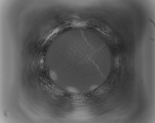 X0000100311254200806261154