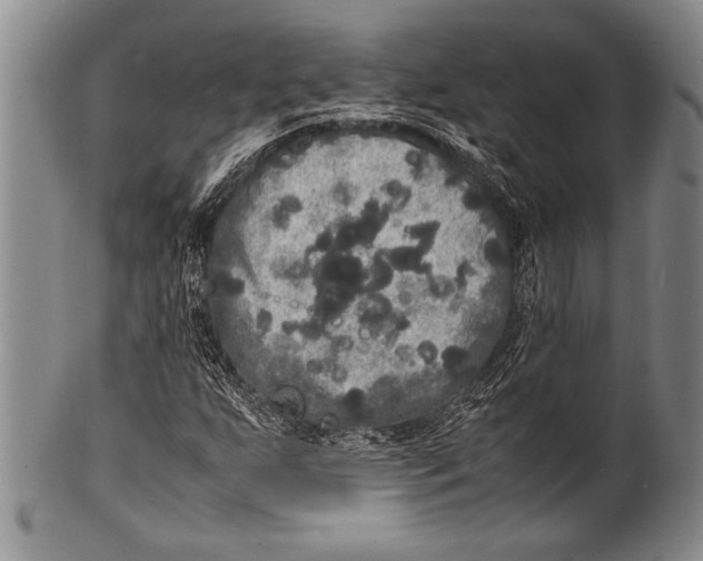 X0000100311255200806261154