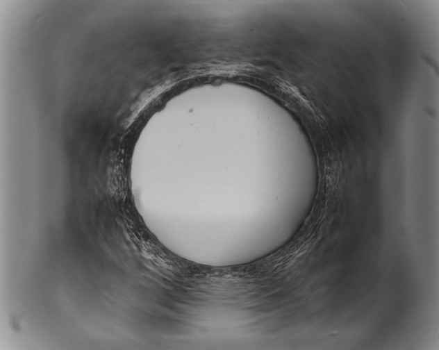 X0000100311256200806261154