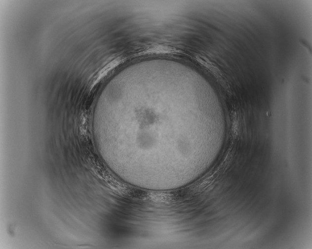 X0000100311258200806261154