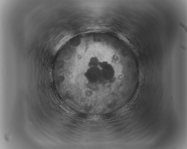 X0000100311259200806261154