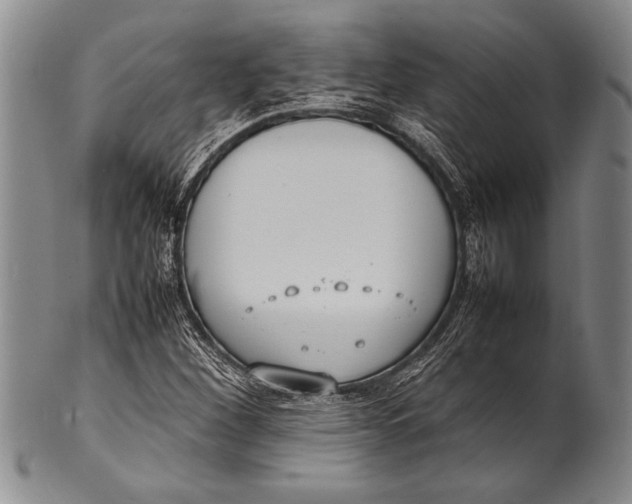 X0000100311260200806261154