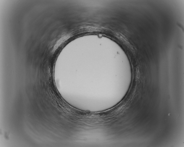 X0000100311261200806261154