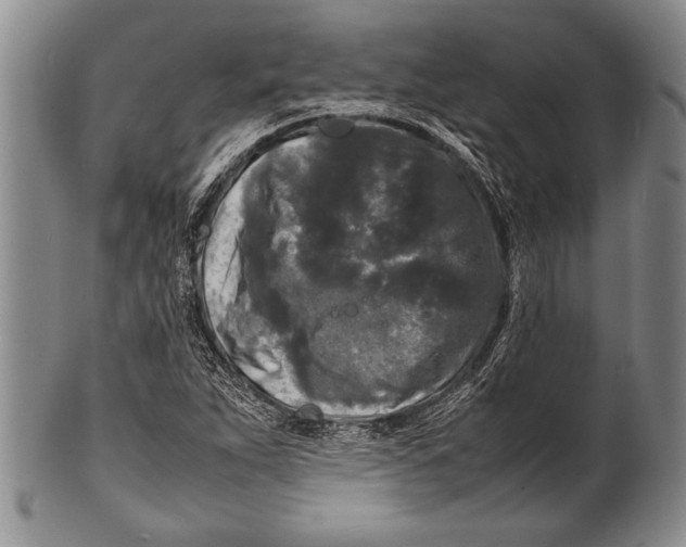 X0000100311263200806261154