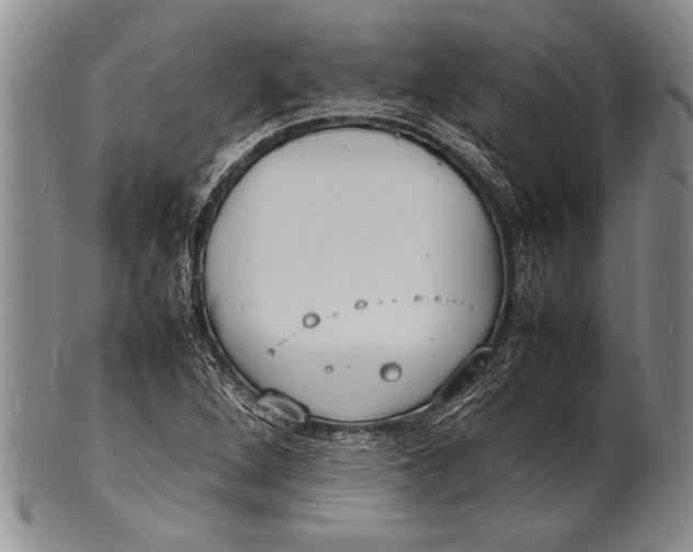 X0000100311264200806261154