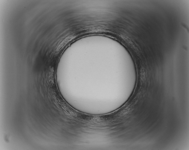 X0000100311265200806261154