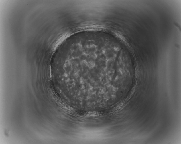 X0000100311267200806261154