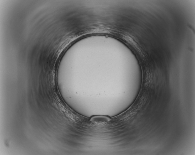 X0000100311268200806261154