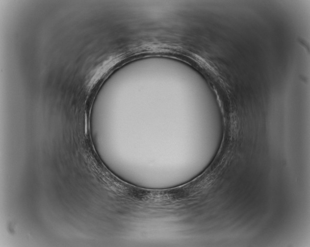 X0000100311269200806261154