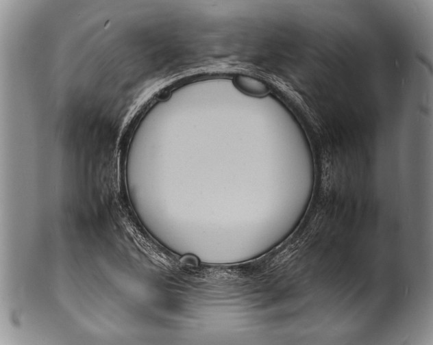 X0000100311270200806261154